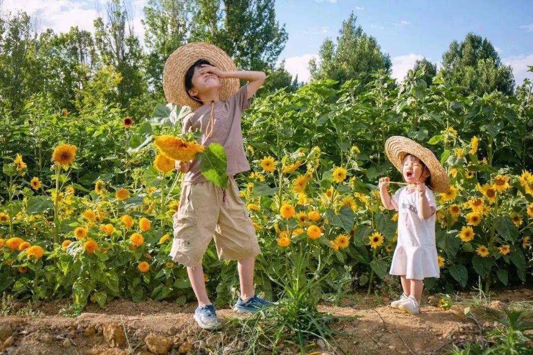卖掉深圳学区房,她带着孩子移居大理砍柴种菜,和欧阳娜娜一起摆摊