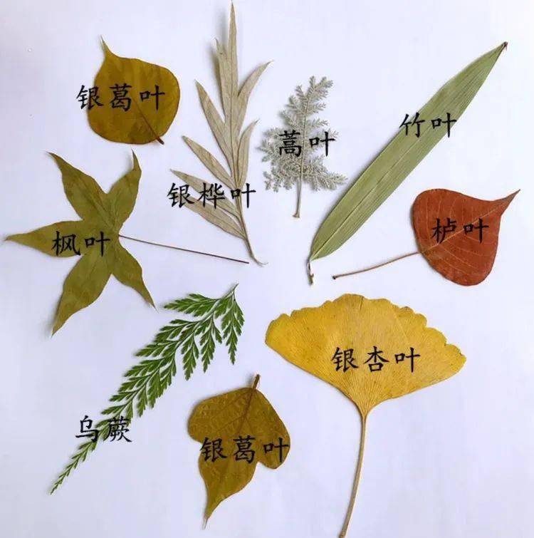 忻州:这个少年研学团很"哇塞!" 主流媒体广播主持人亲自带队