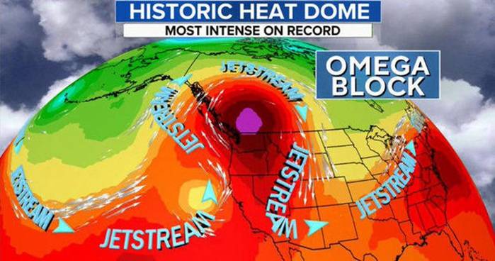 罕見「熱穹頂」籠罩北美，加拿大現50度高溫至少69人死亡 國際 第5張