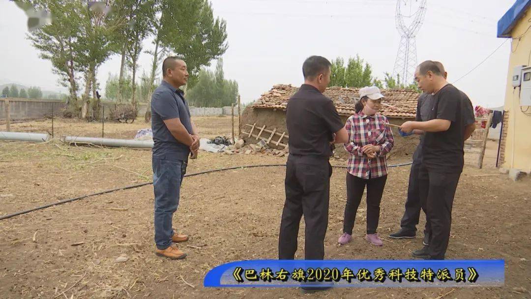 【专栏】科技特派员斯钦毕力格