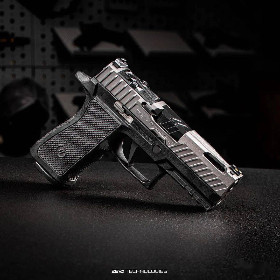 【zev tech美图欣赏】人靠衣装 枪靠换壳