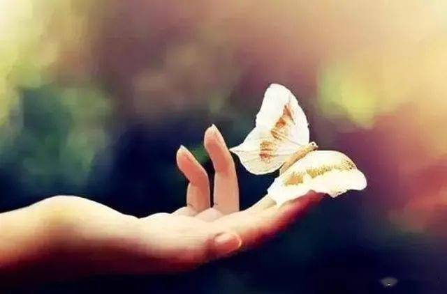 怎么做才是真诚 e67e584c9b064a749943d4c5d8e2824c.jpeg