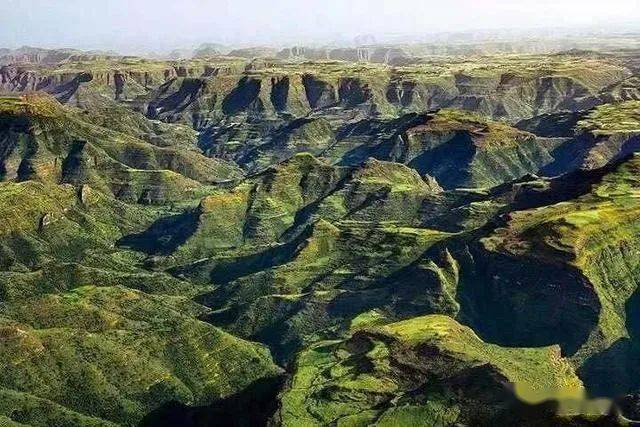 东非大裂谷被称为地球的伤疤这里并不荒凉它是生物的天堂