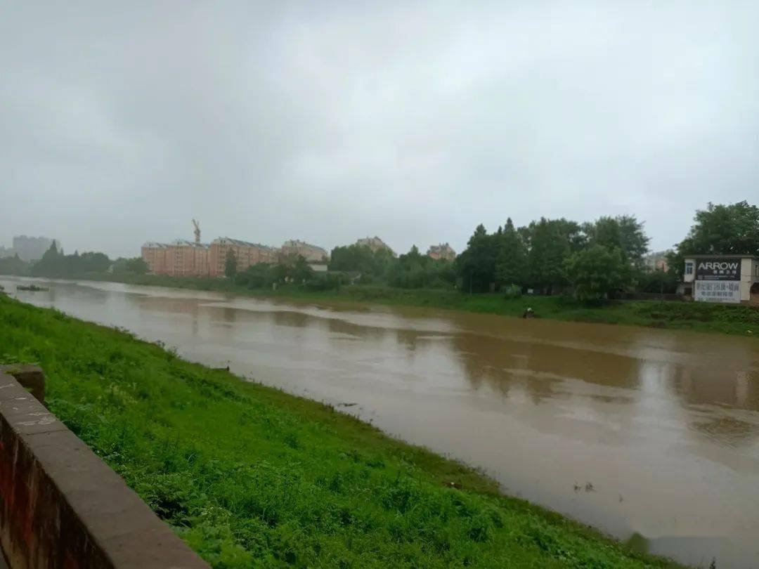 连日强降雨漳河南陵东门大河后港河段水涨了多少一起来看下