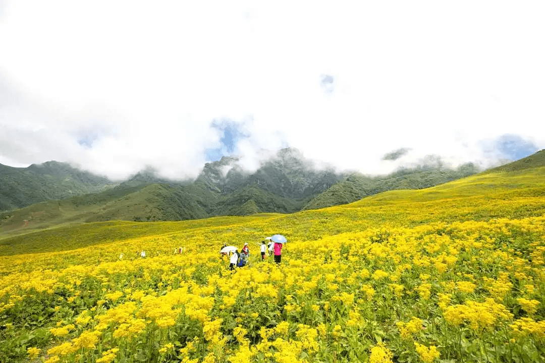 汉源网红景点图片