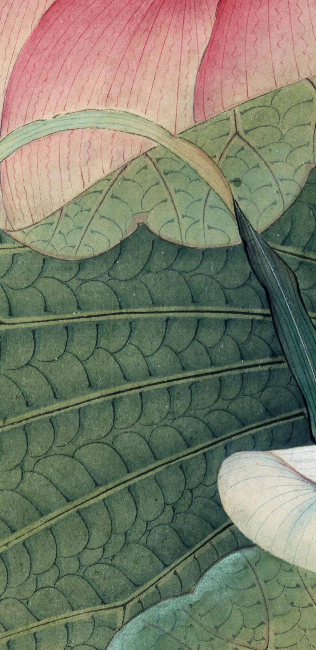 临余稚荷花蜻蜓图绘制解析