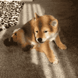 01ba3413ae8b4c5babadfe5b4b464fbd.gif