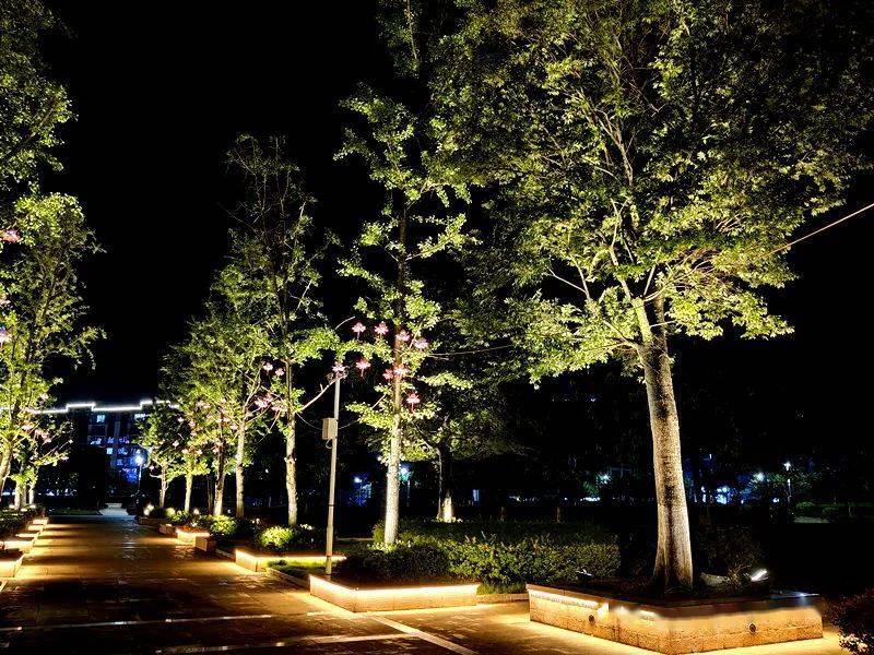 如今项目开展已有3个月 爱莲湖公园夜景亮化 究竟做的怎么样了呢?