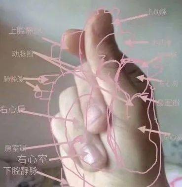 在男女比失衡的大学是怎样的体验？这反应太真实了！