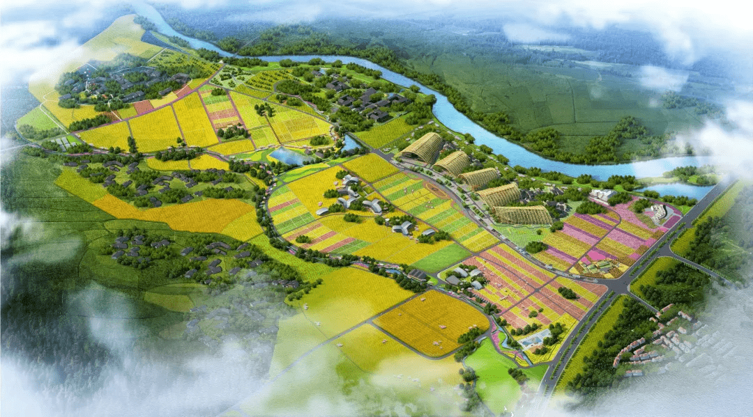 大田景观效果图9月中旬,向阳生长的向日葵进入全盛期,行走在花海