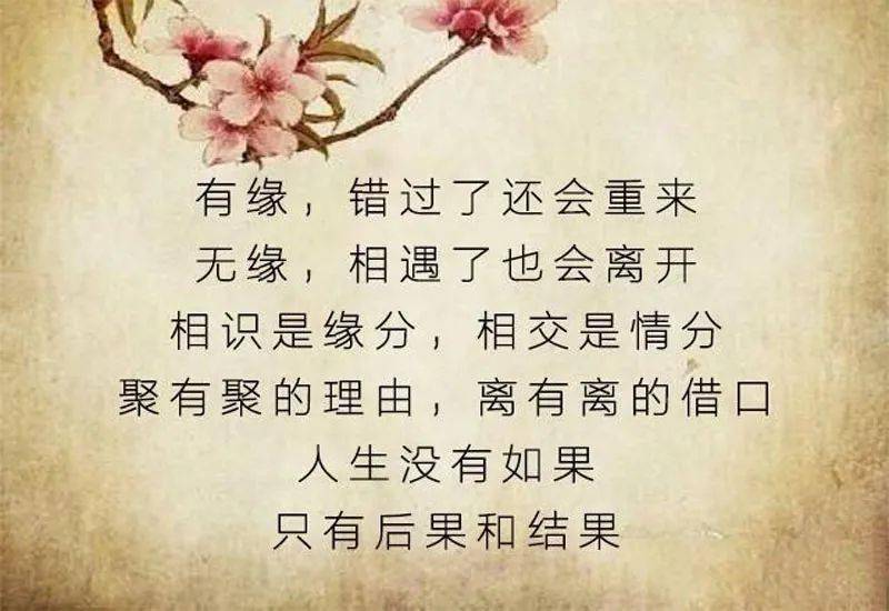 伤透了心的图片带字图片