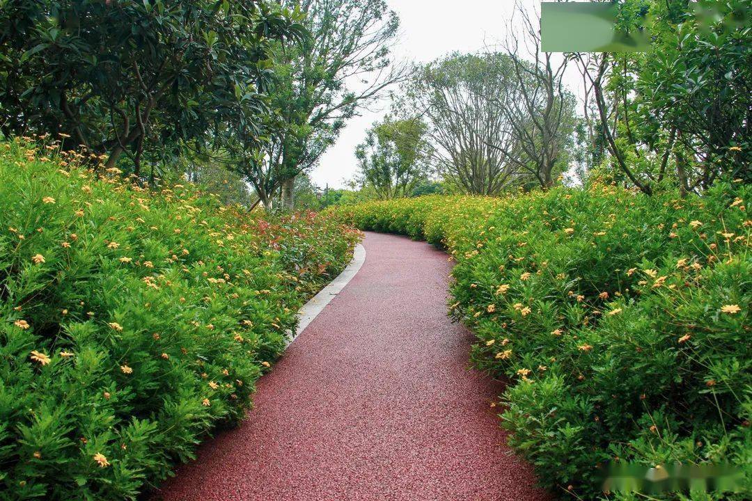 美滋滋屏山马湖公园快要建成了快来一睹真容吧