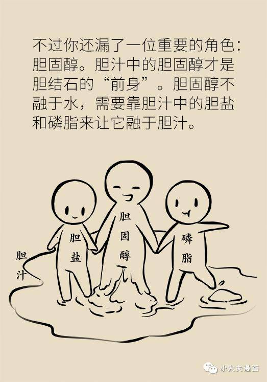 胆汁|不是谣言，长期不吃早饭，真有可能得这种病