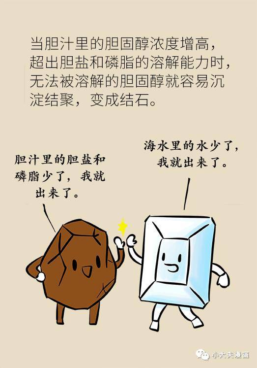 胆汁|不是谣言，长期不吃早饭，真有可能得这种病