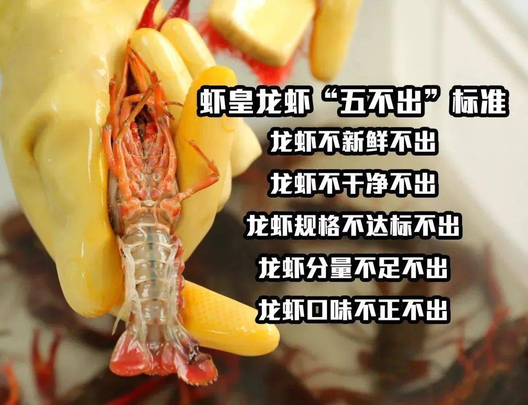 每天现杀,严格遵循"五不出"标准.没有一只死虾,吃的就是一个鲜嫩.