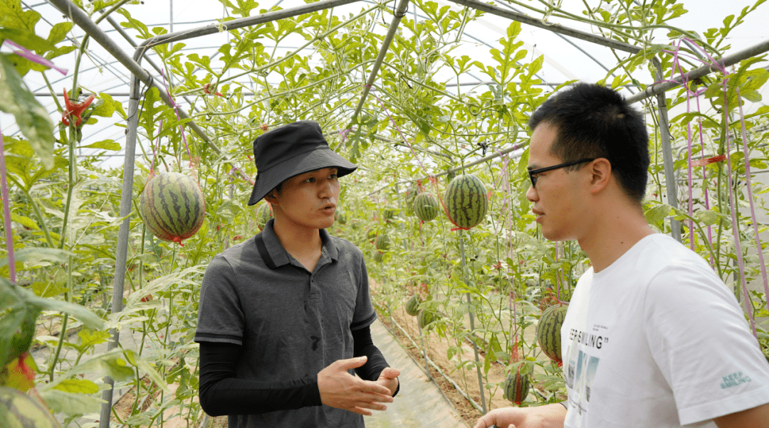 农村人出国留学好吗留学在线