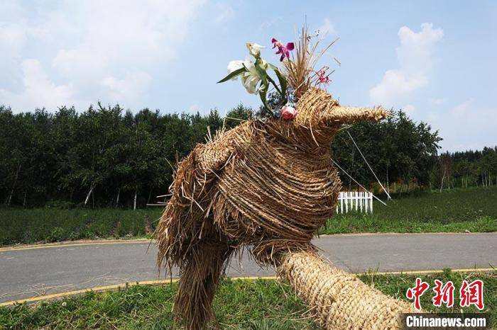 暨首届|全国高校大学生制作“稻草”雕塑群