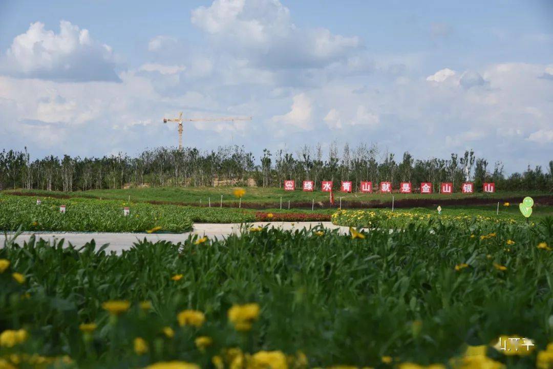 开平区召开唐山花海工程总结大会