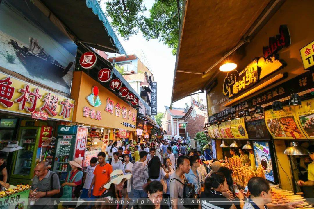 金龙之旅厦门东方神画海上明珠塔打卡网红山海空中健康步道曾厝垵动车