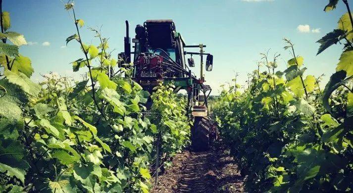 de|9.25 杭州 | 相约乐酒大赏,香槟等你来喝