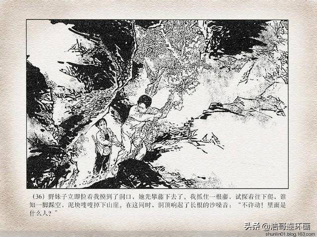 经典连环画野妹子上