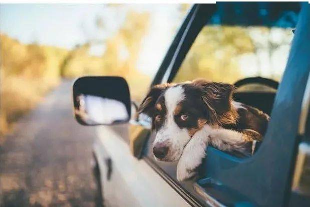 畅销产品排行_亚马逊公布畅销产品名单,Primark业绩表现出色