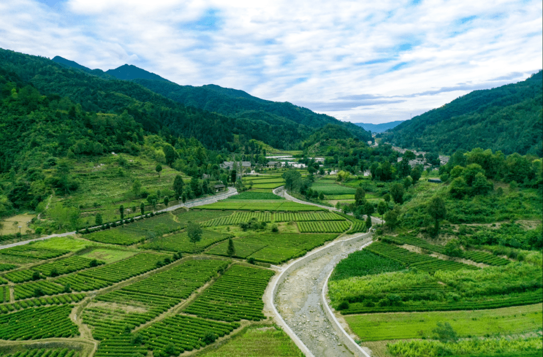 火爆青木川景区又添新玩法大人小孩抢着来