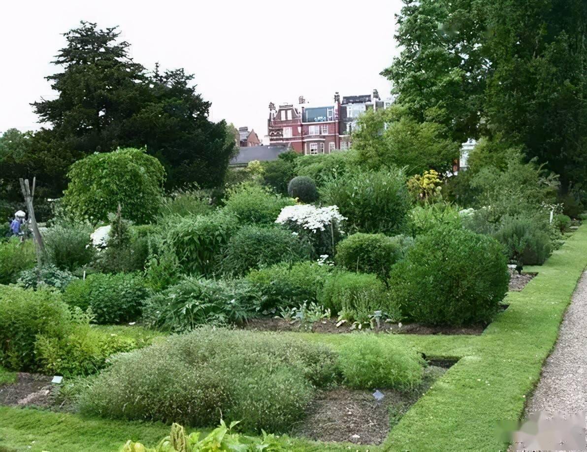 园林景观设计常用的花境组合_草本植物