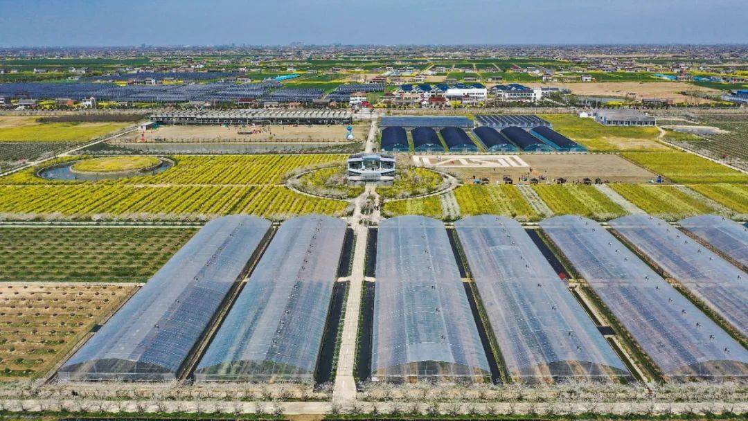 建党百年百佳示范党支部典型案例展播⑨盐城经济技术开发区步凤镇三龙