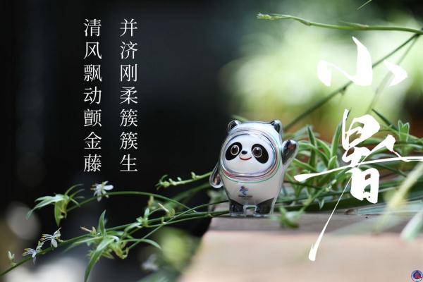 冰墩|冰墩墩打卡二十四节气·小暑