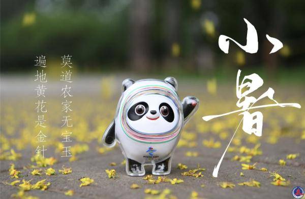 冰墩|冰墩墩打卡二十四节气·小暑