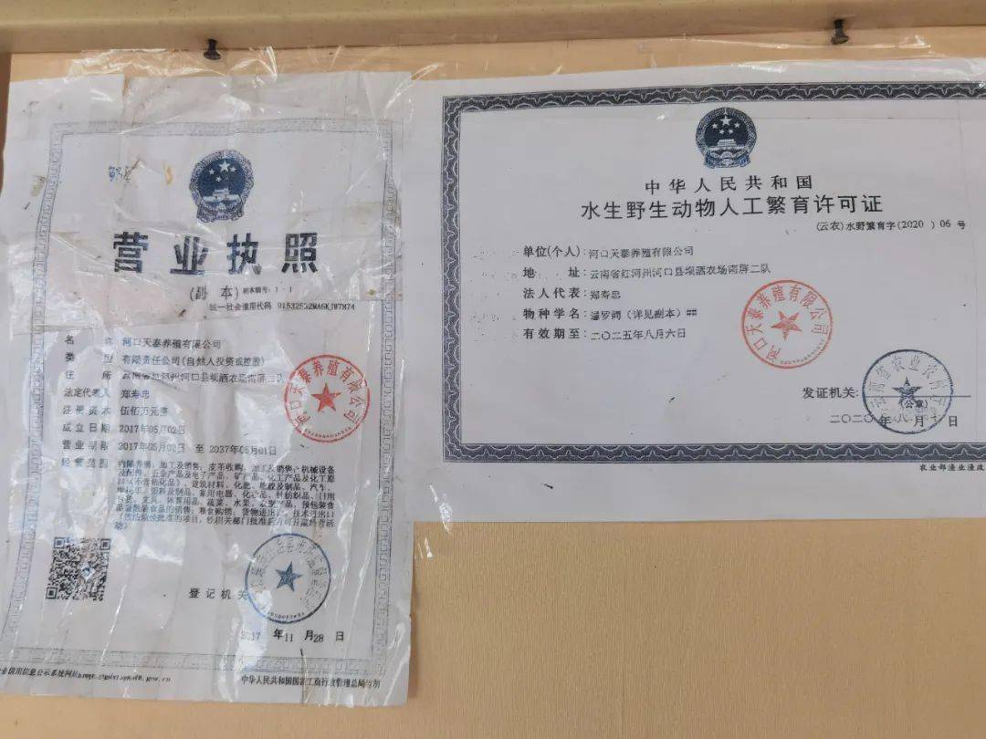 美蛙,鲢鱼,甚至还有娃娃鱼,鳄鱼,放心,人工养殖的,还有许可证!