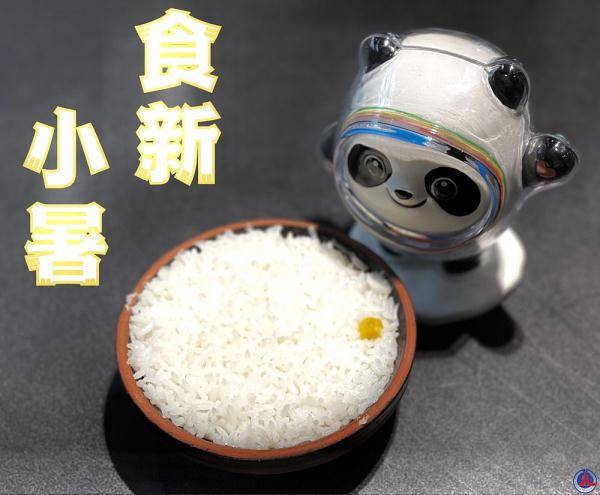 冰墩|冰墩墩打卡二十四节气·小暑