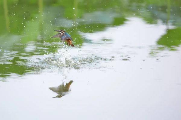 睡觉时间|小暑至盛夏始，这些食物清凉消暑