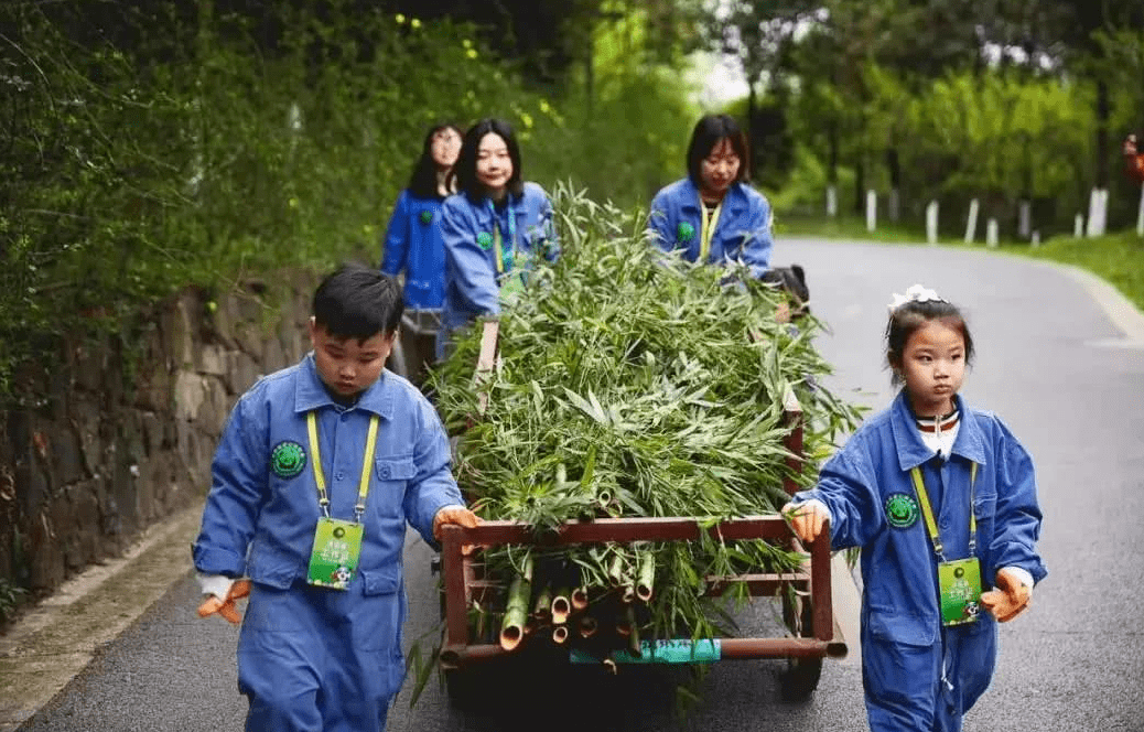 穿上99作服等装备,进入熊猫基地饲养学习,为98熊猫清理9990