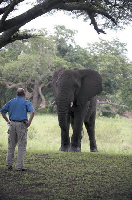 "当我描写自己和大象如何互动时,完全是个人经历的真实诉说"《象语者