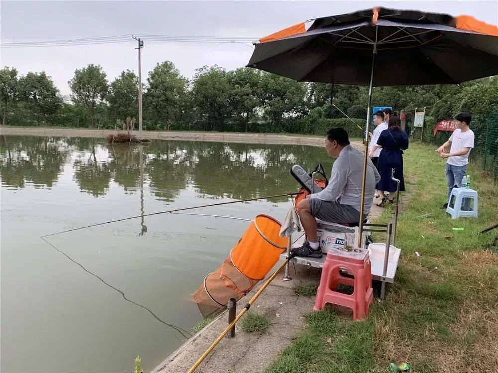 肥西最新龙虾地图新鲜出炉垂钓美食采摘乡村游走起67