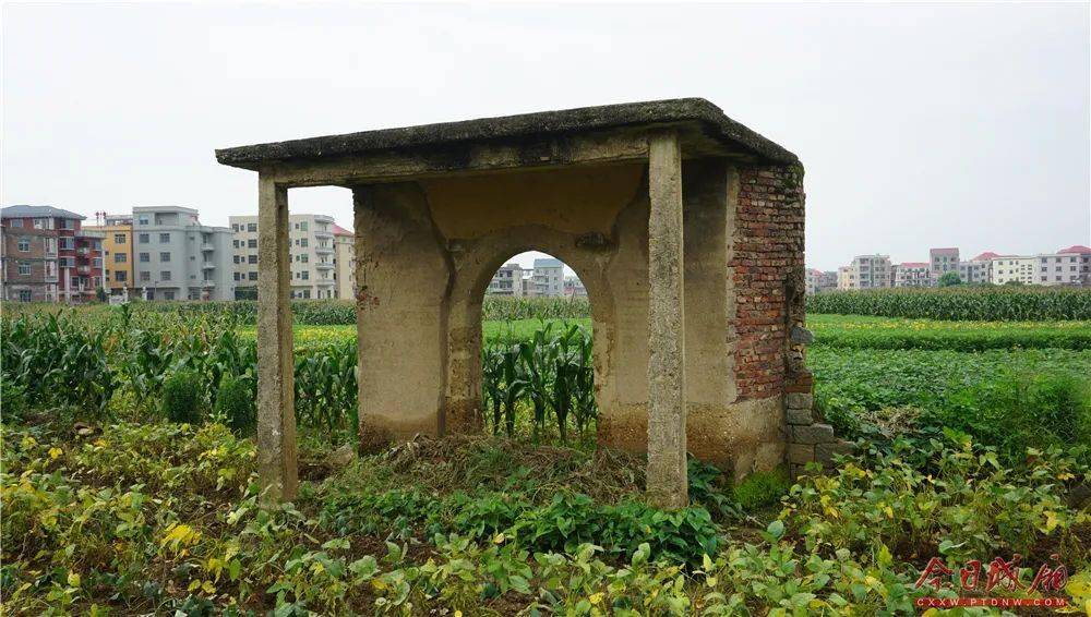 百年看百村主题采访29东海镇西厝村圆梦宜居奔小康