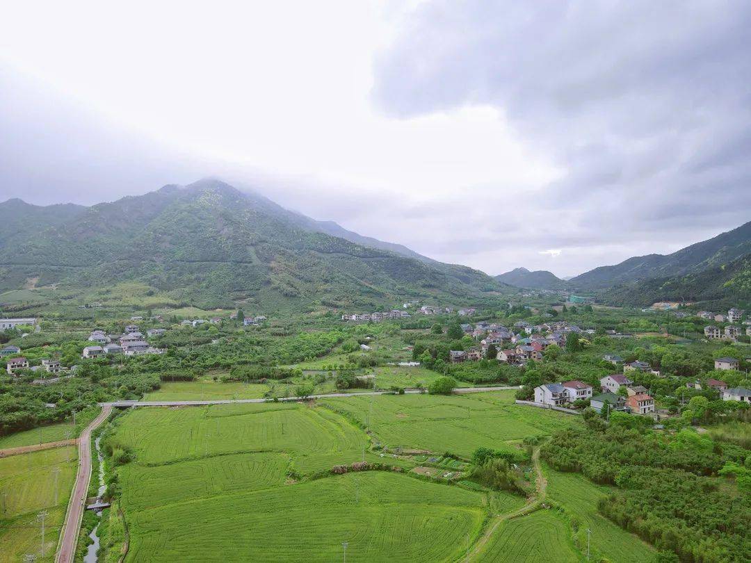 零东线:余杭未来乡村的"阳关道"_青山村