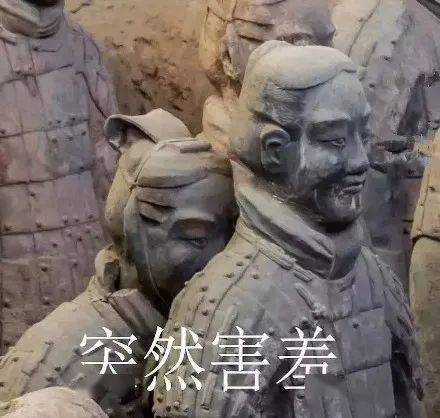 赠品|一到夏天，身上的毛毛就开始疯狂外露……