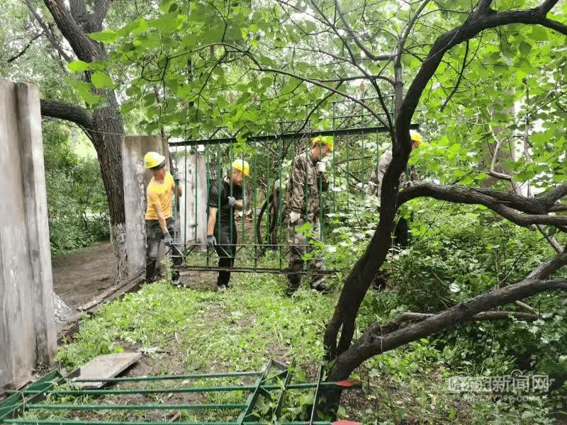阿城会宁公园拆除围栏,打造开放式公园