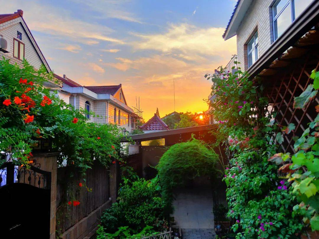 时影 《粮仓晚霞》花桥居民区 王凯 《夜空下的星》黄渡浜居民区 熊俊