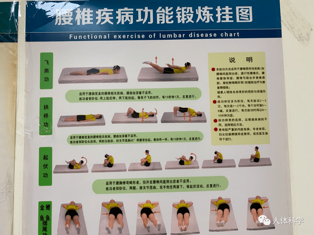【体态管理】腰椎康复锻炼示范动作。_脊柱