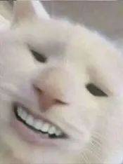 足部|【医聊】血糖高为啥烂jio？操劳一生的脚需要特别的爱！