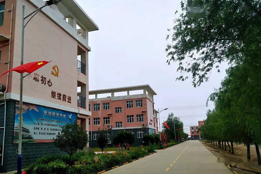 耿庄桥镇的这家小学被报道了