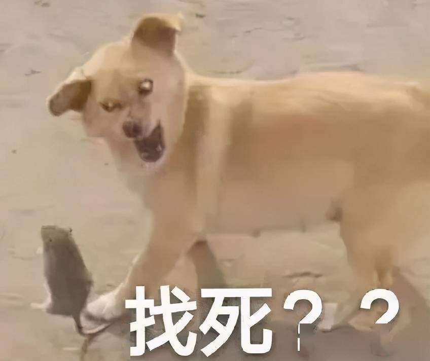 上班摸鱼能被开除么 a774eea333fa4b0b8992c5db2cfce67a.jpeg