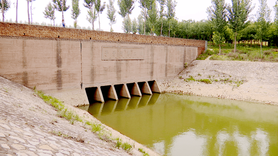 子牙河河间段昔日美景今重现!