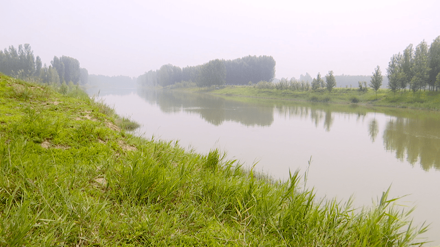 子牙河河间段昔日美景今重现!