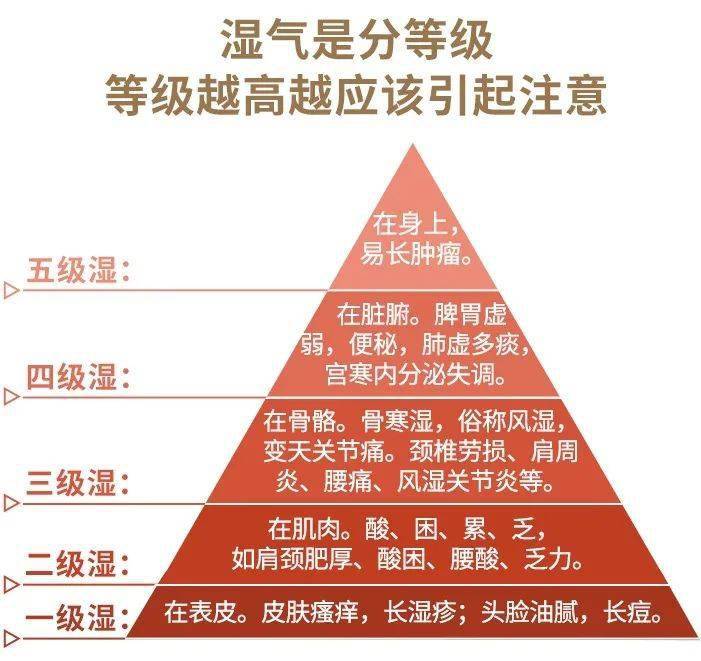 喝跑全身湿气,轻松又有效!_疾病