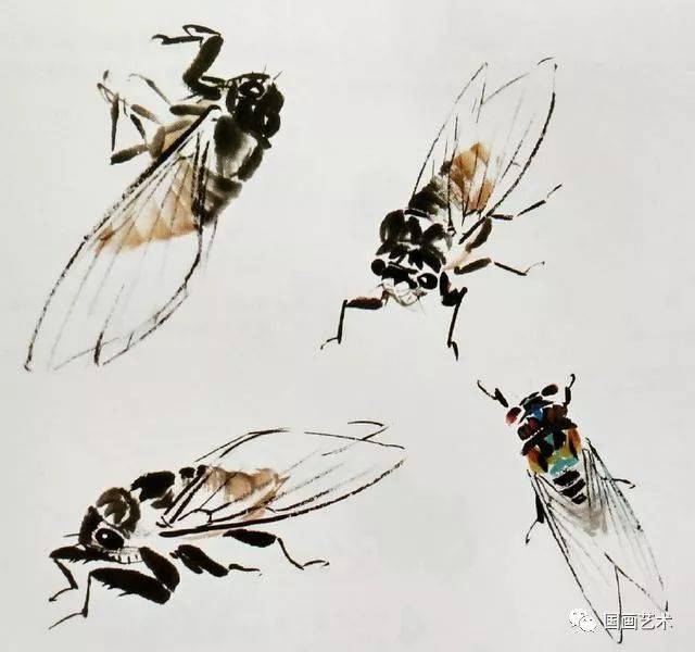 居高声自远——名家笔下的蝉_柳蝉